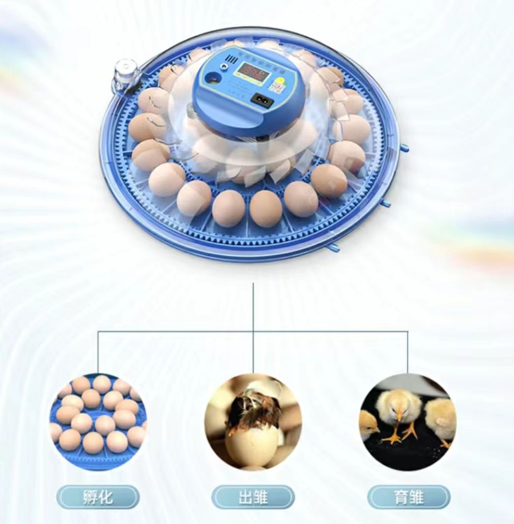 20/24/36/56/96/112 Eieren Kipp - Poultry Incubator recensie en prijs
